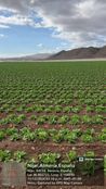 Terreno in vendita a Níjar Andalusia Almeria