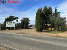 Prestigiosa Casa Indipendente in vendita Villagonzalo, Extremadura