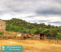 Casale di lusso in vendita Tordera, Catalogna