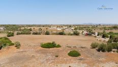 Terreno - ses Salines, Spagna