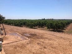 Terreno in vendita - Llíria, Spagna