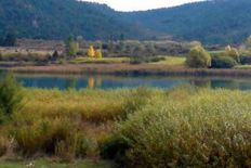 Terreno di 40000 mq in vendita - Henarejos, Castilla-La Mancha