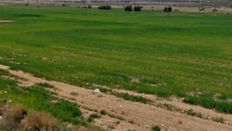 Terreno in vendita - Lorca, Región de Murcia