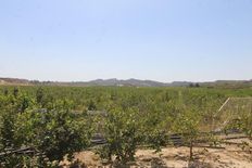 Esclusivo casale in vendita Bigastro, Spagna