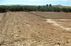 Terreno in vendita - Fuente-Álamo de Murcia, Región de Murcia