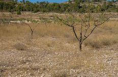 Terreno di 2934 mq in vendita - Pinoso, Comunità Valenciana