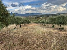 Terreno di 182000 mq in vendita - Villarrodrigo, Andalusia