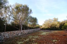 Terreno in vendita - Campos, Isole Baleari