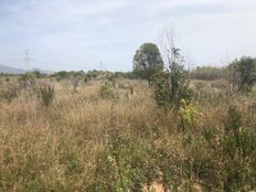 Terreno in vendita a Castellón de la Plana Comunità Valenciana Província de Castelló