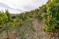 Terreno in vendita a Vélez-Málaga Andalusia Málaga