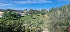 Terreno - Calvià, Isole Baleari