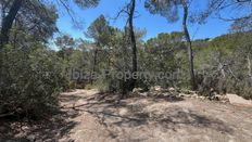 Terreno - Santa Eulària des Riu, Isole Baleari