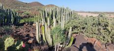 Terreno in vendita a San Miguel De Abona Isole Canarie Provincia de Santa Cruz de Tenerife