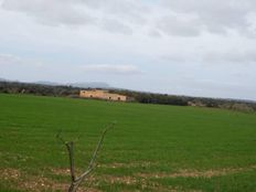 Terreno in vendita a Vilafranca de Bonany Isole Baleari Isole Baleari