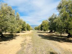 Terreno - Úbeda, Andalusia