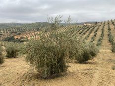 Rustico o Casale in vendita a Loja Andalusia Provincia de Granada