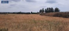 Terreno - Humanes, Castilla-La Mancha