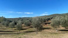 Terreno in vendita - Lucena, Spagna