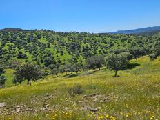 Terreno in vendita a Fuente Obejuna Andalusia Cordova