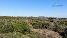 Terreno in vendita - ses Salines, Isole Baleari