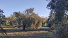 Terreno di 120 mq in vendita - Montilla, Spagna