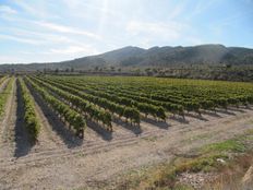 Terreno in vendita a Monóvar Comunità Valenciana Provincia de Alicante