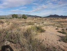 Terreno in vendita a Monóvar Comunità Valenciana Provincia de Alicante