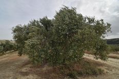 Terreno in vendita - Fornes, Spagna