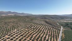 Terreno in vendita - Albolote, Andalusia