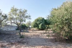 Rustico o Casale in vendita a Sanlúcar de Barrameda Andalusia Cadice