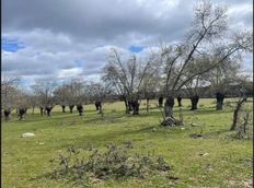 Terreno in vendita a Galapagar Comunidad de Madrid Provincia de Madrid