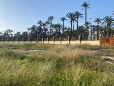 Terreno in vendita a Elx Comunità Valenciana Provincia de Alicante