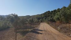 Rustico o Casale in vendita a Morón de la Frontera Andalusia Siviglia