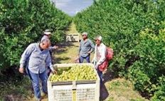 Terreno in vendita a Pilar de la Horadada Comunità Valenciana Provincia de Alicante