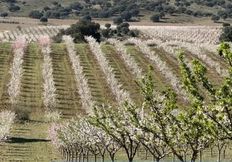 Casale in vendita Villarrodrigo, Andalusia