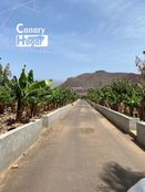 Rustico o Casale in vendita a Arona Isole Canarie Provincia de Santa Cruz de Tenerife