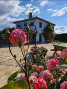 Casa Unifamiliare in vendita a Loja Andalusia Provincia de Granada