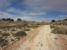 Terreno in vendita a Monóvar Comunità Valenciana Provincia de Alicante