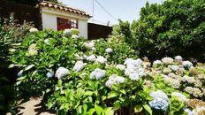 Casa Unifamiliare in vendita a Valleseco Isole Canarie Provincia de Las Palmas