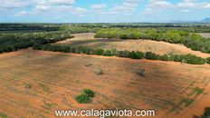 Terreno - Campos, Isole Baleari