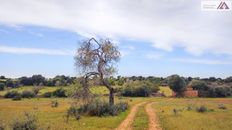 Terreno - Santanyí, Isole Baleari