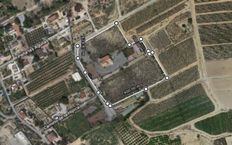 Terreno in vendita a Elx Comunità Valenciana Provincia de Alicante