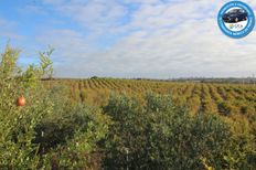 Terreno in vendita a Jerez de la Frontera Andalusia Cadice