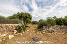 Terreno in vendita - ses Salines, Spagna