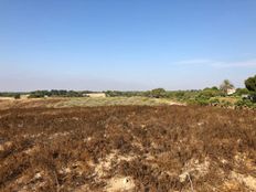 Terreno in vendita - Pilar de la Horadada, Comunitat Valenciana