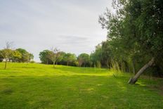 Terreno in vendita - San Roque, Spagna