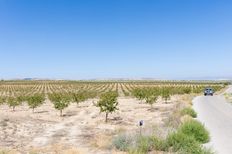 Terreno in vendita a Escúzar Andalusia Provincia de Granada