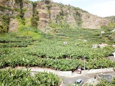 Terreno in vendita a Ponta do Sol Madeira Ponta do Sol