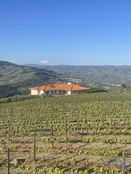 Casa di lusso in vendita a Lamego Distrito de Viseu Lamego