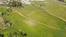 Terreno in vendita a Torres Vedras Lisbona Torres Vedras